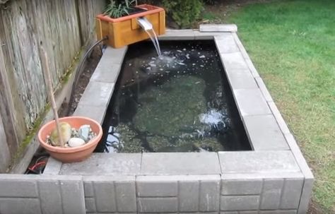 This video shows step by step how to build a backyard above ground pond with waterfall / filter for less than $400. This could be a good project to adapt and help support an aquaponics growing operation to keep your fish in, and filter the water from the fish pond into your grow beds.  The materia Pond With Waterfall, Pond Backyard, Above Ground Pond, Homemade Garden, Landscape Pavers, Landscape Timbers, Building A Pond, Aquaponics Fish, Aquaponics Diy