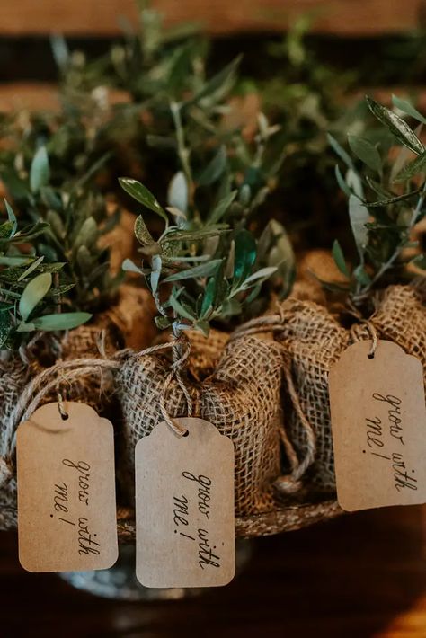 Organic Baby Shower Ideas, Olive Baby Shower Ideas, Home Grown Baby Shower Theme, Green Baby Shower Ideas, Greenery Baby Shower Ideas, Organic Baby Shower, Baby Shower Giveaways, Garden Baby Shower Theme, Classy Party