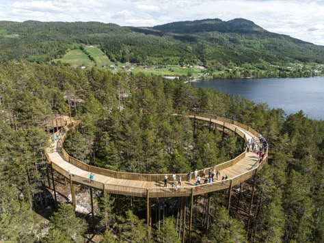 Treetop Walkway, Winding Path, Danish Architecture, Path Ideas, Protect Nature, Colossal Art, Disabled People, Bridge Design, Visual Culture