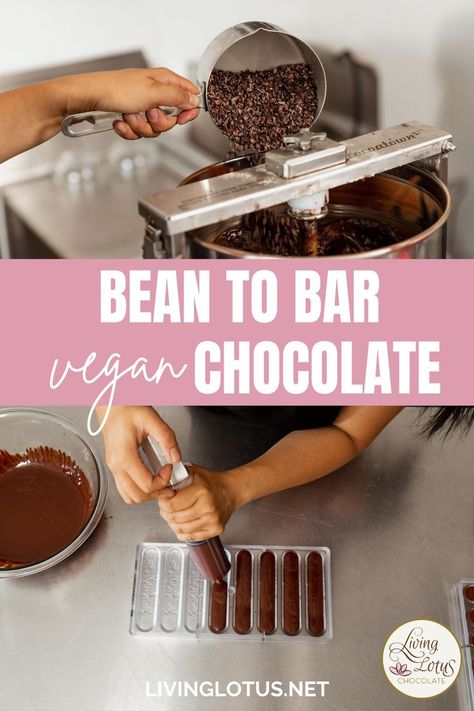 Photos of the chocolate making process. A hand pouring cacao nibs into a mixer and a woman piping melted chocolate into moulds. Text that reads 'bean to bar vegan chocolate' Bean To Bar Chocolate, History Of Chocolate, Vegan White Chocolate, Plant Based Desserts, Chocolate World, Chocolate Maker, Cacao Beans, Chocolate Packaging, Chocolate Shop