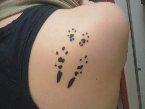 Chinchilla Tattoo Chinchilla Tattoo Ideas, Chinchilla Tattoo, Animal Footprints, Paw Tattoo, Nails Inspired, Tattoo Shows, Chinchillas, Foot Tattoo, Paw Prints