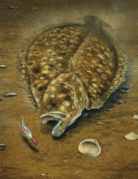 Flounder Fish, Saltwater Fishing Gear, Halibut Fishing, Action Art, Flounder Fishing, Salt Water Fishing, Fishing Pictures, Fishing Rigs, Buy Fish