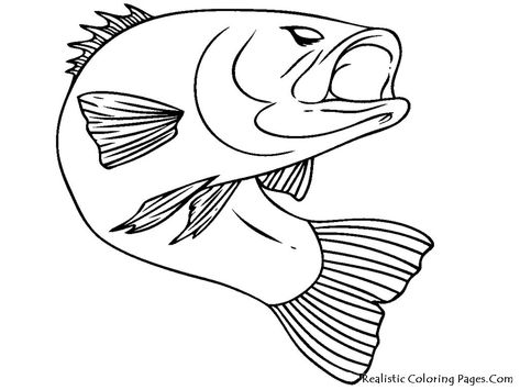 22+ Exclusive Photo of Fish Coloring Pages - davemelillo.com Fish Drawing For Kids, Fish Sketch, Fish Coloring, Photos Of Fish, Drawn Fish, Fauna Marina, Fish Coloring Page, Bass Fish, Cartoon Fish