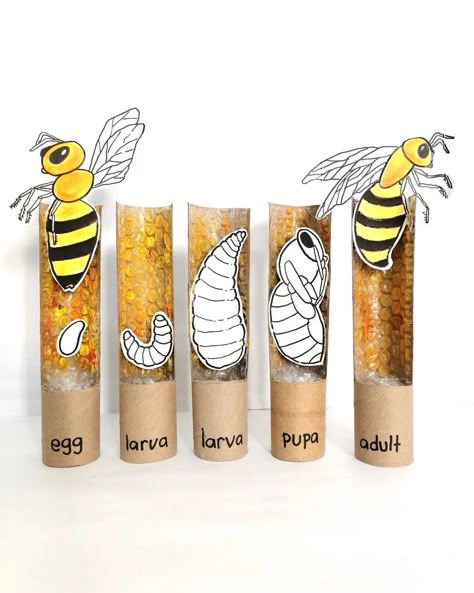 Life Cycle of a Bee . Celebrating World Bee Day, we took a closer look at the life cycle of this busy little insects. There are basically 4… | Instagram Life Cycle Of A Bee, World Bee Day, Bee Life Cycle, Bee Activities, Bee Day, Garden Art Ideas, Garden Deco, Garden Art Sculptures Diy, Garden Artwork