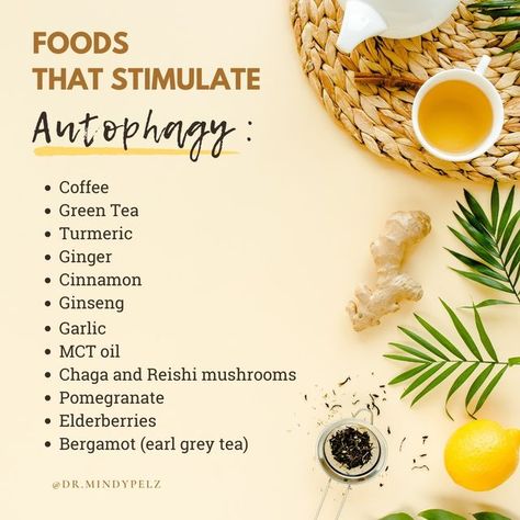 Dr. Mindy Pelz | Fasting Expert on Instagram: "Leaning into an anti-inflammatory diet is hands down the best thing you can do for your health and for stimulating Autophagy. Here are some of the foods that will help: ✅ Coffee ✅ Green Tea ✅ Turmeric ✅ Ginger ✅ Cinnamon ✅ Ginseng ✅ Garlic ✅ MCT oil ✅ Chaga and Reishi mushrooms ✅ Pomegranate ✅ Elderberries ✅ Bergamot (earl grey tea) 💛Favorite Autophagy stimulating flavors 💛 Electric Turmeric, Pu'er Green Tea, a classic Earl Grey, Chaga Energy Eli Pique Tea, Dr Mindy Pelz, Bariatric Diet, Ginger And Cinnamon, Food Medicine, Reishi Mushroom, Fasting Diet, Earl Grey Tea, Earl Grey