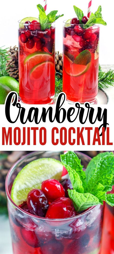 Cranberry Vodka Recipe, Cranberry Mojito, Holiday Drinks Alcohol Christmas, Cranberry Cocktail Recipe, Christmas Drinks Alcohol Recipes, Cranberry Drinks, Christmas Drinks Alcohol, Mint Drink, Mint Cocktails