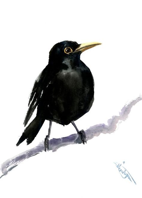 Buy Blackbird, Watercolor by Suren Nersisyan on Artfinder. Discover thousands of other original paintings, prints, sculptures and photography from independent artists. Blackbird Watercolor, Chinese Painting Flowers, Suren Nersisyan, Diy Totem, Bird Watercolor Paintings, Art Tutorials Watercolor, Bird Watercolor, Watercolor Birds, Totem Poles