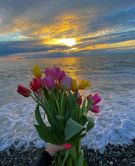 Tulips Aesthetic Landscape, Aesthetic Pictures Tulips, Flowers And Sunset Aesthetic, Tulips And Sunset Wallpaper, Yellow Tulips With Sunset, Instagram Picture Quotes, Orange Ombre, Special Pictures, Friend Anime