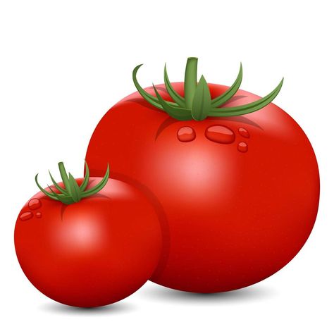 Asian Drawings, Tomato Vector, Tomato Illustration, Tomato Drawing, Food Sculpture, Vector Food, Free Vectors, Classroom Activities, New Pictures