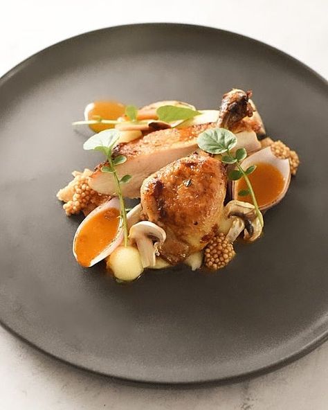 Chicken Plated Fine Dining, Chicken Plates Ideas, Chicken Fine Dining Plating, Chicken Plating Ideas, Chicken Fine Dining, Breakfast Plating, Plated Entrees, Fine Dining Plating, Molecular Gastronomy Recipes