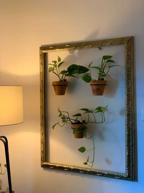 DIY FLOATING MINI PLANTER FRAME Frame With Plants Inside, Framed Flower Vase, Picture Frame Without Glass Ideas, Framed Plants On Wall, Plants In Frames, Plant Frame Wall Decor, Plant In Frame, Empty Frames On Wall Decor Ideas, Living Wall Diy