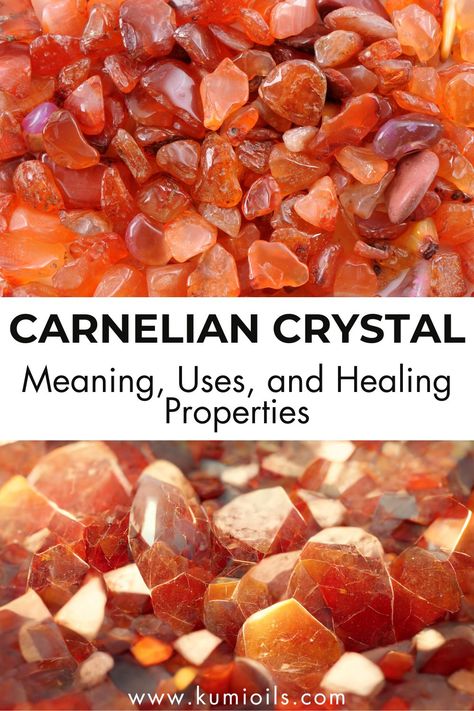 The carnelian stone stands out with its bright color tones and has been said to offer comforting and healing powers to those who hold them. With its hues of red, orange, and brown, a carnelian crystal is also considered an active male energy stone. However, these orange crystals are linked to fertility and potency symbols as well. Carnelian Crystal Meaning, Male Energy, History Meaning, Mental Healing, Spiritual Things, Chakra Alignment, Extraordinary Jewelry, Orange Carnelian, Fire And Stone