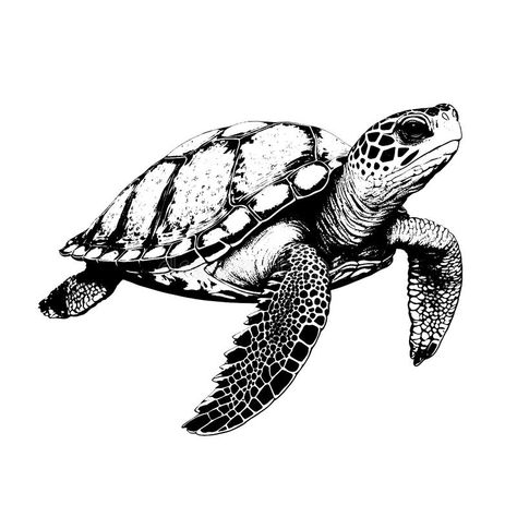 Black Sea Turtle Tattoo, Black And White Turtle Tattoo, Black And Grey Turtle Tattoo, Turtle Tattoo Black And White, Sea Turtle Hatching Tattoo, Darkside Tattoo, Sea Turtle Drawing, Big Cat Tattoo, Sea Turtle Tattoo