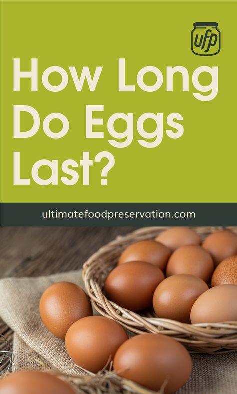 Find out how you can preserve eggs and extend their shelf-life plus exactly how long you can keep fresh eggs in your pantry before they go bad.| Discover more about preserving at ultimatefoodpreservation.com #foodpreservationandstorage #foodpreservationhacks #eggsrecipes #homesteadpantry Preserve Eggs, Pantry On A Budget, Preserving Eggs, Food Stockpile, Food Preservation And Storage, Homestead Pantry, Superfoods Benefits, Food Shelf Life, Super Foods List