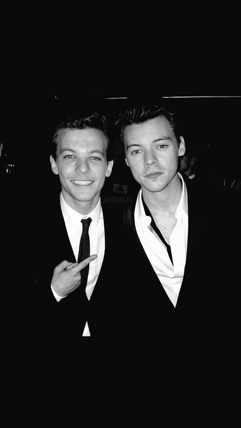 Larry Stylinson Manip, Larry Manips, Harry Styles And Louis Tomlinson, Harry Louis, Gambar One Direction, Princess Parking, One Direction Louis, Midnight Memories, Harry Styles Cute