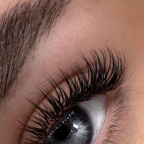 LASH EXTENSIONS | NAILS |  LOS ANGELES on Instagram: "When the eyelashes speak for themselves 😍  Work by our top artist which has won 🥇 place in lash extension competition!  ___  📍West Hollywood Location 8338 Beverly Blvd(near the Beverly Center)  📍Santa Monica Location  320 Wilshire Blvd   📍Costa Mesa Location 170 E 17th St   ___  #lashes #eyelashextensionswesthollywood #eyebrowsbeverlyhills #eyelashextensionsbeverlyhills #russianvolumelosangeles #lashesla #lalashes  #lashextensions #lasheslasheslash #lashesorangecounty #lashescostamesa  #losangeles #lashessantamonica #santamonica" Extensions Nails, Lash Extension, West Hollywood, Lash Extensions, Santa Monica, Eyelash Extensions, Top Artists, Eyebrows, Eyelashes