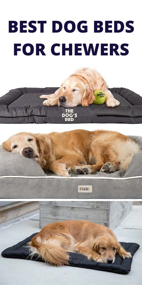 Stop Dog Chewing, Chew Proof Dog Bed, Best Beds, Beds For Dogs, Dog Stairs, Dog Clothes Diy, Best Dog Beds, Dog House Diy, Diy Dog Bed