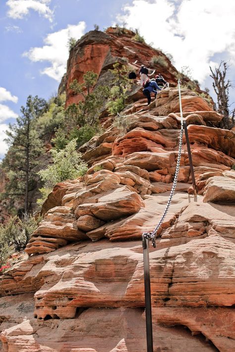 Angels Landing Zion Hike in Utah Angel’s Landing Zion, Angles Landing Zion, Zion Hikes, Angels Landing Zion National Park, Angels Landing Zion, Utah Trip, Utah Vacation, Zion Canyon, Zion National Park Utah