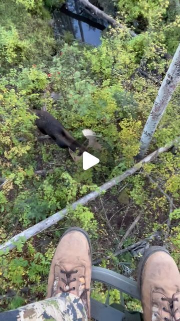 Rockymountainracks on Instagram: "Super cool tree stand experience from last hunting season, I’m trying too locate his sheds, tips would be awesome! #moose #treestand #hunting #therut" Deer Stand Ideas, Tree Stands Hunting Deer, European Mount Ideas, Hunting Hacks, Hunting Aesthetic, Tree Stand Hunting, Hunting Stands, Moose Hunting, Hunting Deer