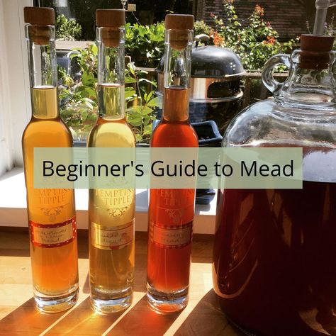 Mead For Beginners, Fruit Mead Recipe, Spiced Mead Recipe, Honey Mead Recipe, Mead Wine Recipes, Make Mead, Making Mead, Mead Recipes, Mead Making