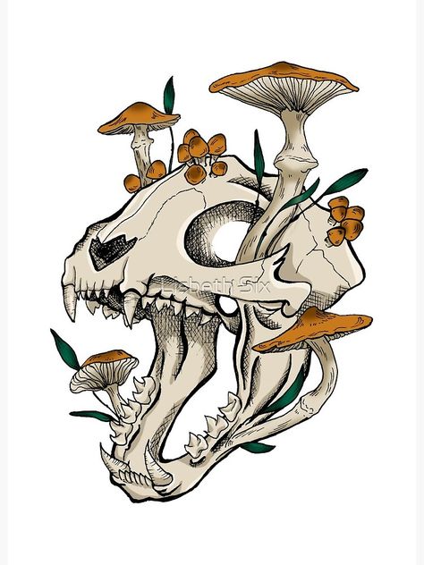 Skull With Mushrooms, Animal Skull Drawing, Cat Skull Tattoo, Skull Sketch, Cat Skeleton, Animal Skeletons, Mushroom Drawing, Skeleton Tattoos, Animal Skull