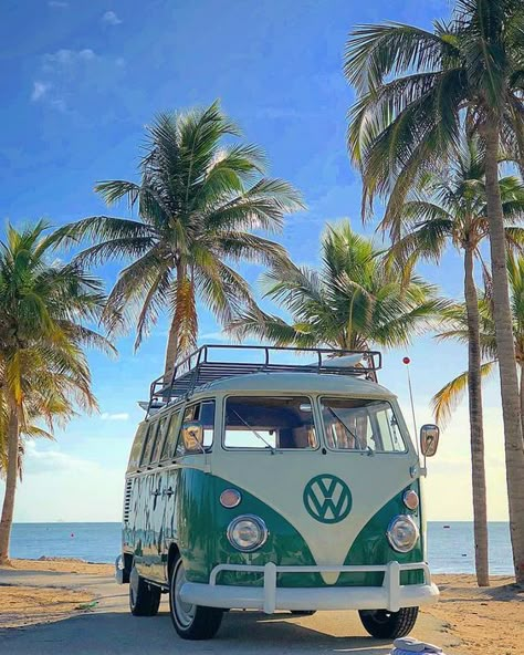 Volkswagen Vans, Volkswagen Van, Vintage Vw Bus, Combi Volkswagen, Volkswagen Camper, Vw Vans, Vintage Vw, Volkswagen Bus, Vw Van