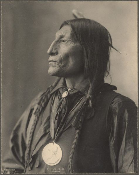 vintage everyday: Old Portraits of Native Americans by Frank A. Rinehart Native American Woman, Native American Images, American Photo, Wilde Westen, Native American Photos, Native American Peoples, The First Americans, Native American Tribes, Foto Art