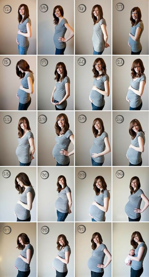 Monthly Pregnancy Photos, Weekly Pregnancy Pictures, Baby Bump Progression, Baby Diary, Baby Bump Pictures, Pregnancy Belly Photos, Bump Pictures, Pregnancy Progression, Baby Announcement Pictures