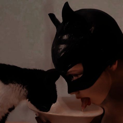 Cat Women, Batman And Catwoman, Selina Kyle, Harley Quinn Art, Dark Feminine Aesthetic, Cat Mask, Photoshoot Concept, Catwoman, Black Aesthetic