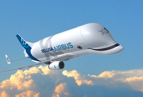 Airbus Beluga, Here Comes The Judge, Photo Avion, Australian Muscle Cars, Mid Size Car, Amc Javelin, Pontiac Lemans, Aircraft Painting, Custom Paint Jobs