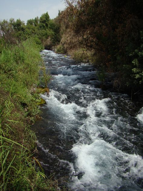 Dan River | This is one of the sources of the Jordan -- incr… | Flickr Water Tunnel, Jug Of Water, The Jordan River, Rock Steps, Jordan River, Sea Of Galilee, Haifa, Water Resources, Water Supply