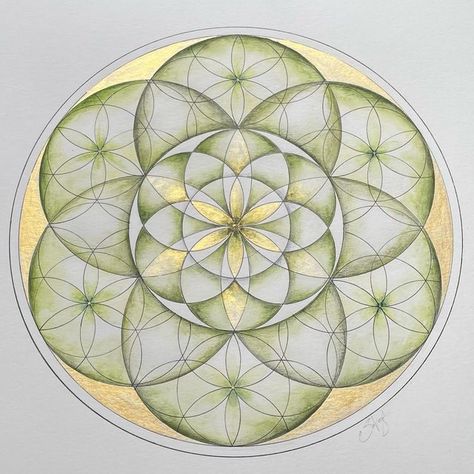 Sacred Geometry Watercolor, Seed Of Life Pattern, Seed Of Life Art, Seed Of Life Mandala, Flower Of Life Art, Sacred Geometry Art Mandalas, The Seed Of Life, Geometry In Nature, Watercolor Mandala