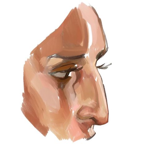 nose #art Drawing Different Noses, Arched Nose Reference, Hooked Noses Reference, Arched Nose Front View, Drawing Hooked Nose, Nose Drawing Angles, Nose Structure Drawing, Drawing Nose Front View, Flat Nose Drawing