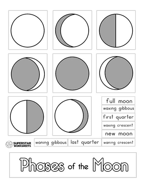 Free Moon Phases Worksheets and activities for homeschool or classroom use. Includes free moon phases coloring pages, moon tracker, notebooking pages and more! Moon Phase Project, Moon Tracker, Moon Phases Activities, Astronomy Club, Superstar Worksheets, Computer Terms, Moon Unit, Moon Activities, Notebooking Pages