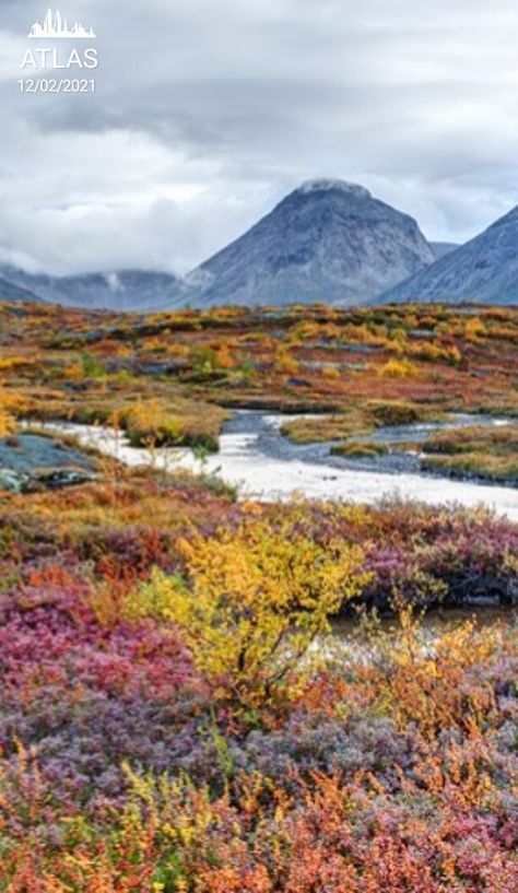 Arctic Tundra Aesthetic, Tundra Photography, Tundra Aesthetic, Artic Tundra, Tundra Landscape, Tundra Biome, Biomes Project, Alpine Tundra, Frozen Tundra