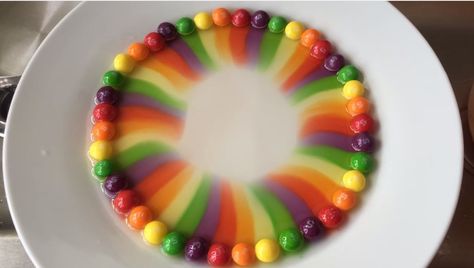 rainbow skittle square plate | Skittles trick turns plate into a rainbow / Boing Boing Rainbow Soup, Distortion Photography, Satisfying Photos, Science Fair Ideas, Home Science, Clever Kids, Valentines Box, Paint Easy, Science Learning