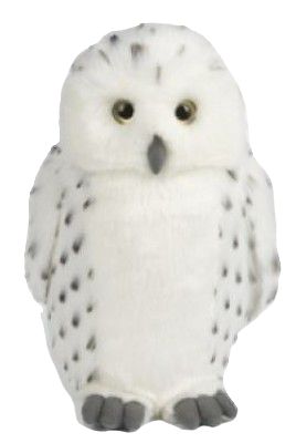 Snowy Owl | Waterstones Bird Barn, Owl Plush, Highlands Terrier, Flamingo Bird, Snowy Owl, Toy Brand, West Highland Terrier, Animal Facts, Barn Owl