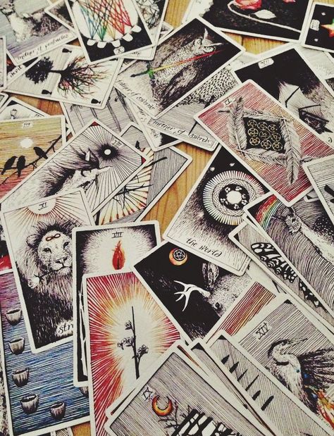 The Wild Unknown Tarot, Wild Unknown Tarot, Witchy Things, Tarot Art, Psychic Reading, Morning Ritual, Spirit Guides, Tarot Decks, Birdy