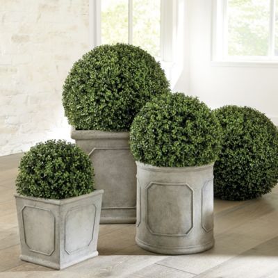 Planter Filler, Boxwood Planters, Faux Boxwood, Planter Trellis, Boxwood Balls, Fake Plants Decor, Artificial Boxwood, Topiary Trees, Country Houses