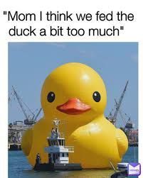 Duck Memes, New Funny Pics, Pictures With Captions, Super Funny Memes, Funny Duck, Funny Pictures With Captions, Funny Happy, Funny Puns, Disney Funny