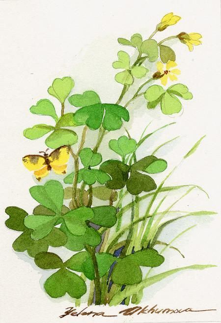 Irish Watercolor, Ireland Scrapbook, Sant Patrick, Shamrock Art, Irish Prayer, Watercolor Markers, St Patricks Day Cards, St Patricks Crafts, Chinese Art Painting