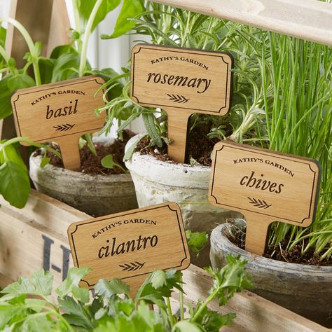 Plant Markers Ideas, Edamame Dip, Markers Ideas, Personalized Flower Pot, Herb Garden Markers, Garden Design Outdoor, Vegetable Garden Planner, How To Grow Vegetables, Veggie Gardens