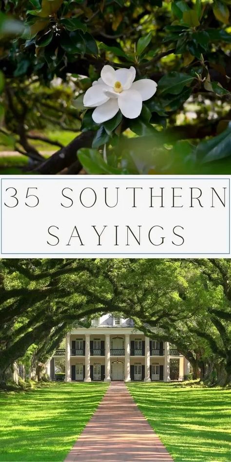 Explore 35 of the best Southern sayings, from timeless phrases to drawlin' proverbs. Savor sweet tea wisdom and Dixie expressions capturing Southern charm. Dive into the rich tapestry of Southern dialect gems, embracing the warmth of folk sayings. Let these quotes add hospitality and grace to your day. Immerse yourself in the soulful world of Southern slang and charm words. Whether a true Southerner or captivated by Dixie language, these expressions bring a smile. Southern Phrases. Things Only Southern People Say, Southern Love Quotes, Old Southern Sayings, Southern Hospitality Quotes, Southern Words And Phrases, Southern Sweet Tea Aesthetic, Southern Sayings Quotes, Southern Sayings Deep South, Country Slang Southern Sayings