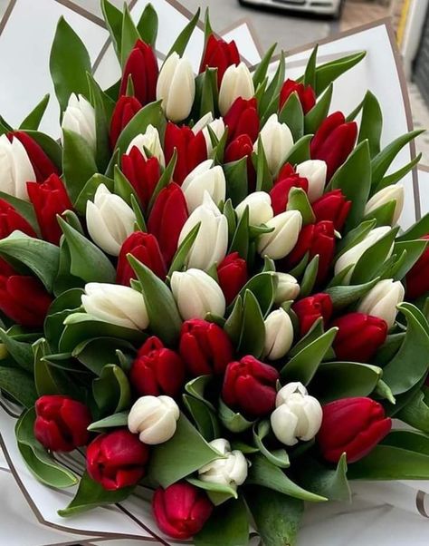 Tulip Flower Pictures, Pretty Flowers Pictures, Luxury Flower Bouquets, Very Beautiful Flowers, Bloom Where Youre Planted, Rose Flower Pictures, Fresh Flower Bouquets, Boquette Flowers, Flowers Bouquet Gift