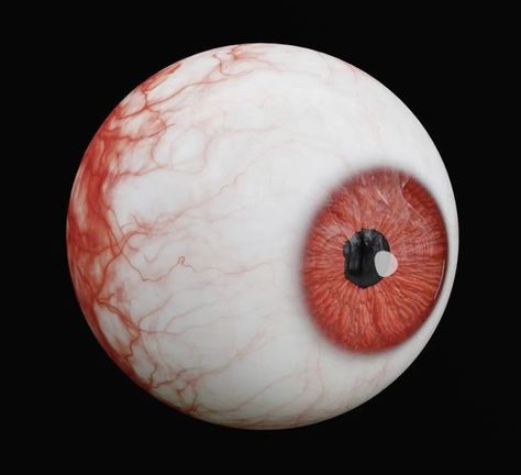 Eyeball Aesthetic, Eyeball Diagram, Human Eyeball, Eye Icon, Red Pfp, Funny Gaming Memes, 3d Eye, Horror Drawing, 2013 Swag Era