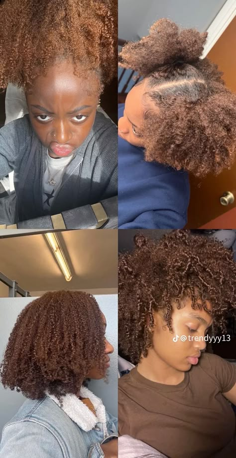 Afro Hair Dye, Afro Hair Color, Adore Hair Dye, Diy Hair Wig, Honey Brown Hair, Brown Hair Dye, Quick Natural Hair Styles, Dyed Natural Hair, Beautiful Curly Hair