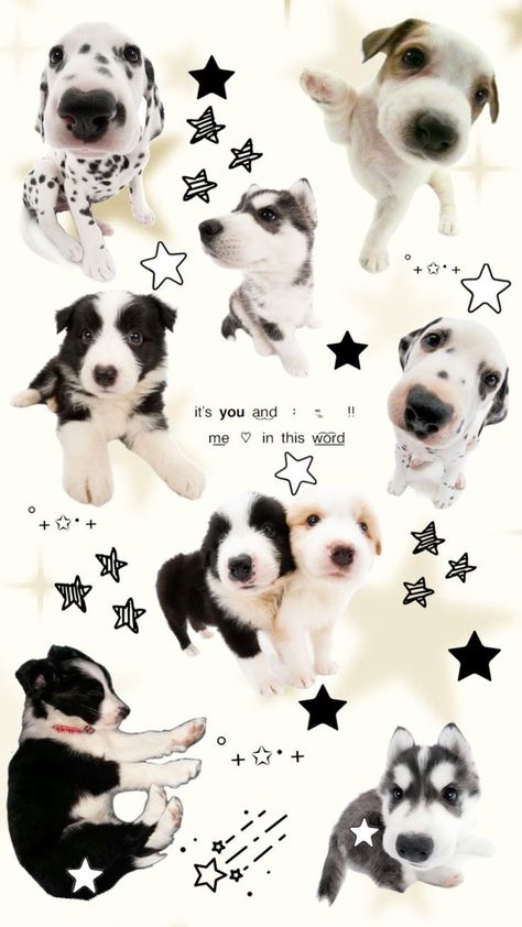 Dog Wallpaper Iphone, Funny Laptop Stickers, Wallpaper Fashion, Scrapbook Printing, Wallpaper Doodle, Dog Phone, Hello Kitty Iphone Wallpaper, Silly Dogs, Dog Wallpaper