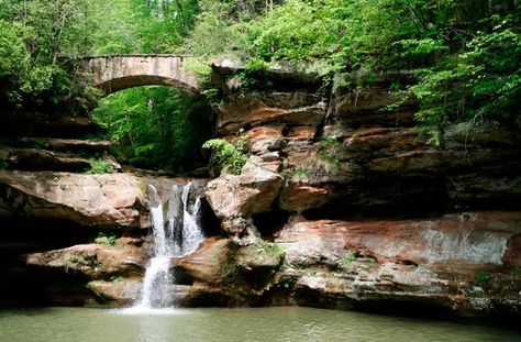 Hocking Hills State Park--Ohio, 2,300 acres, has hiking, biking, archery, fishing, hunting, and camping. The park is most notable for its waterfalls and dramatic rock formations, including Old Man's Cave, Cantwell Cliffs, Ash Cave, and Cedar Falls Ohio Hiking, Hocking Hills State Park, Hocking Hills, Bowfishing, Fishing Tips, Hunting Fishing, Vacation Destinations, Archery, Vacation Spots