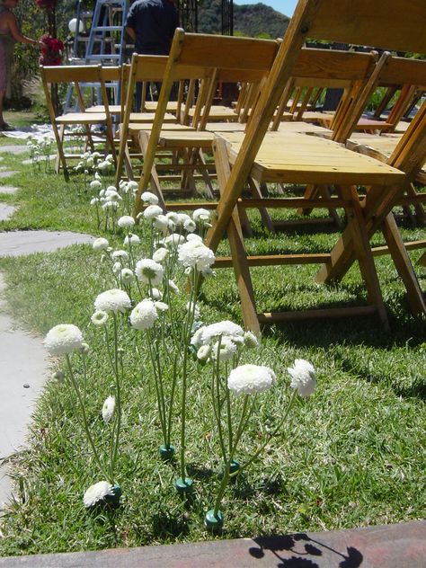 Flowers Stuck In Ground Wedding, Single Stem Flower Aisle, Wedding Alley Decoration, Single Stem Aisle Flowers, Wedding Ceremony Flowers On Ground, Aisle Ideas, Stem Style, Aisle Decorations, Ceremony Aisle