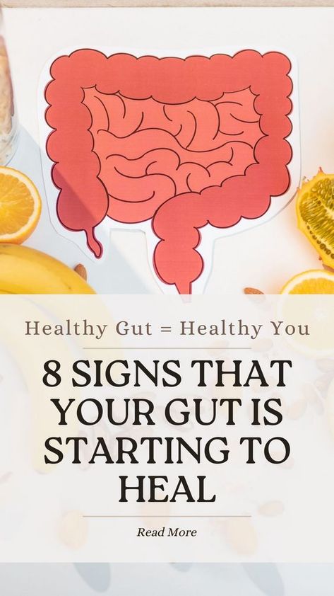 Discover the 8 signs that show your gut is healing! Feel better and live healthier with these positive indicators. 🌿💚 #GutHealth #WellnessJourney Heal The Gut Naturally, Hormonal Eating, Healing Gut Health, How To Heal Your Gut, Heal Gut Naturally, Heal Leaky Gut Naturally, Gut Healing Diet, Healing Gut, Gut Healing Foods